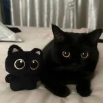 Adorable 10cm Black Cat Plush Toy – Perfect Pendant
